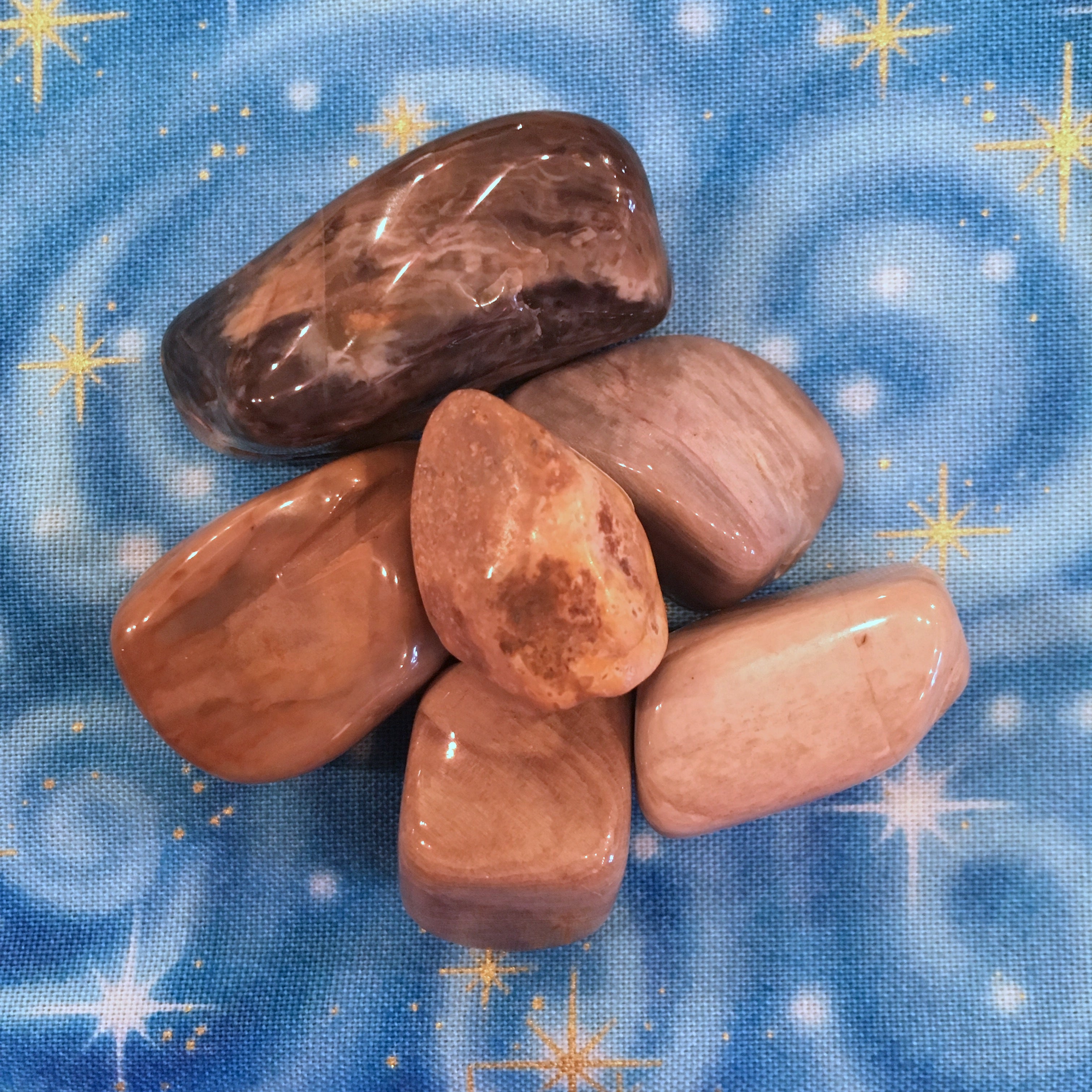Petrified Wood.jpg_product