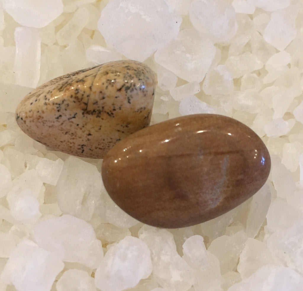 Picture Jasper.jpg