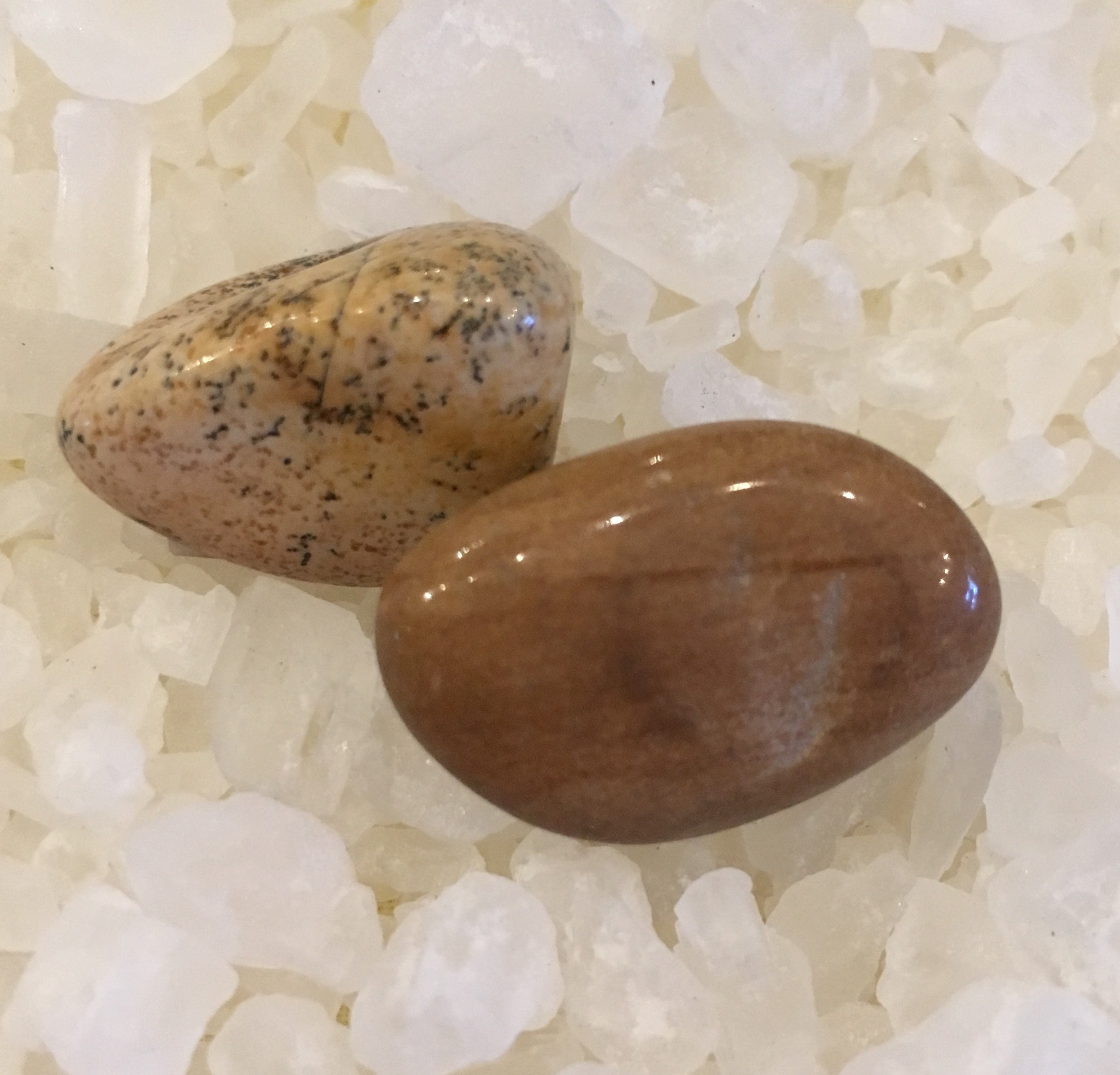 Picture Jasper.jpg