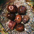Pietersite1.jpg