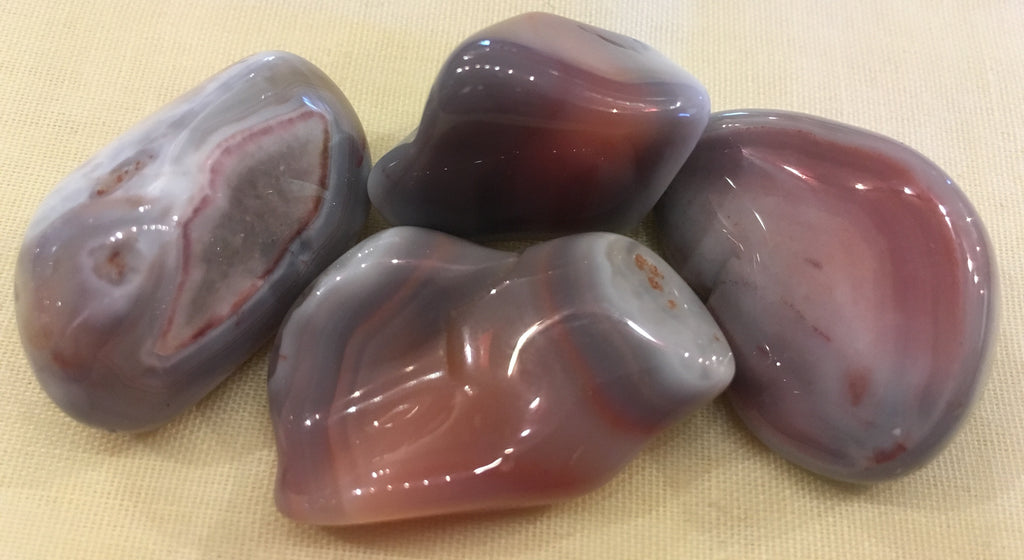 Agate__Pink_Bots_4e249f6bd3b0a.jpg