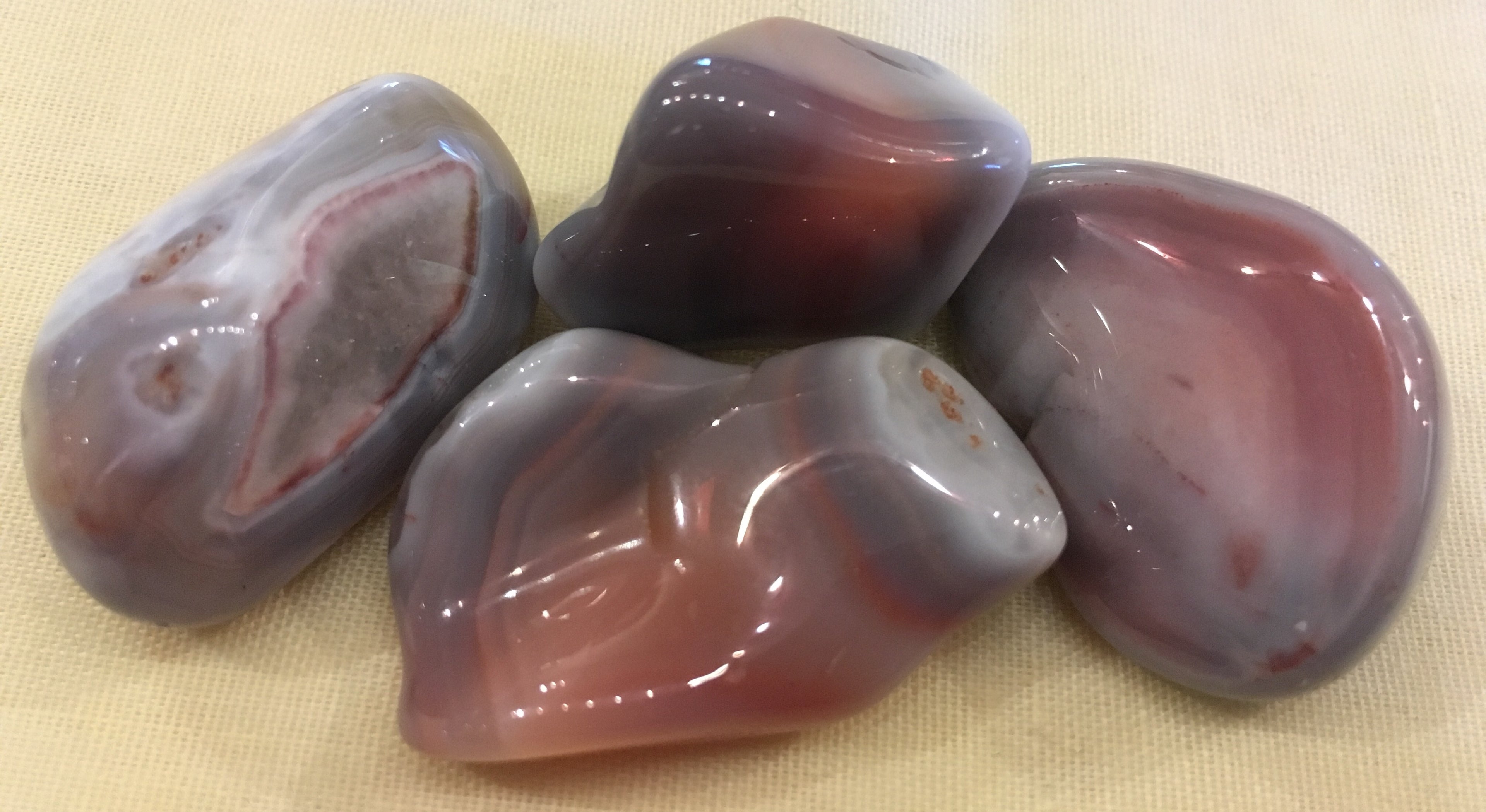 Agate__Pink_Bots_4e249f6bd3b0a.jpg