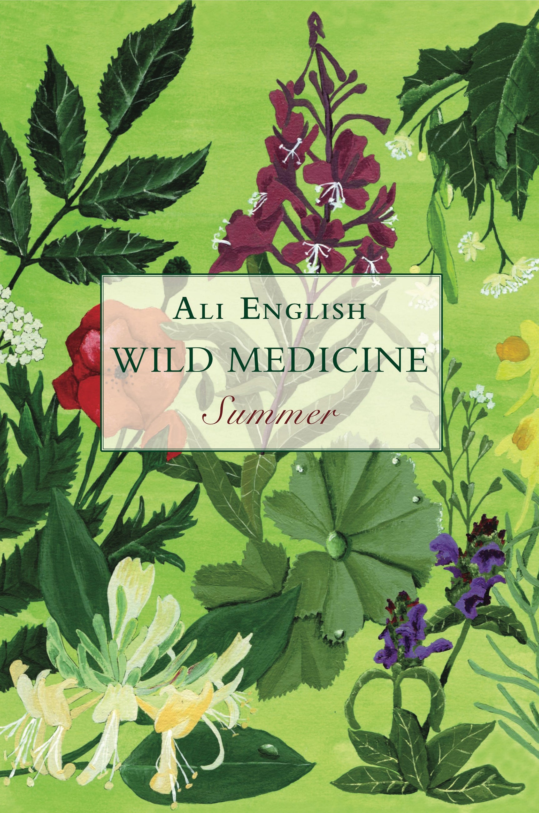 RWAllEnglishWildMedicineSummerBK.jpg