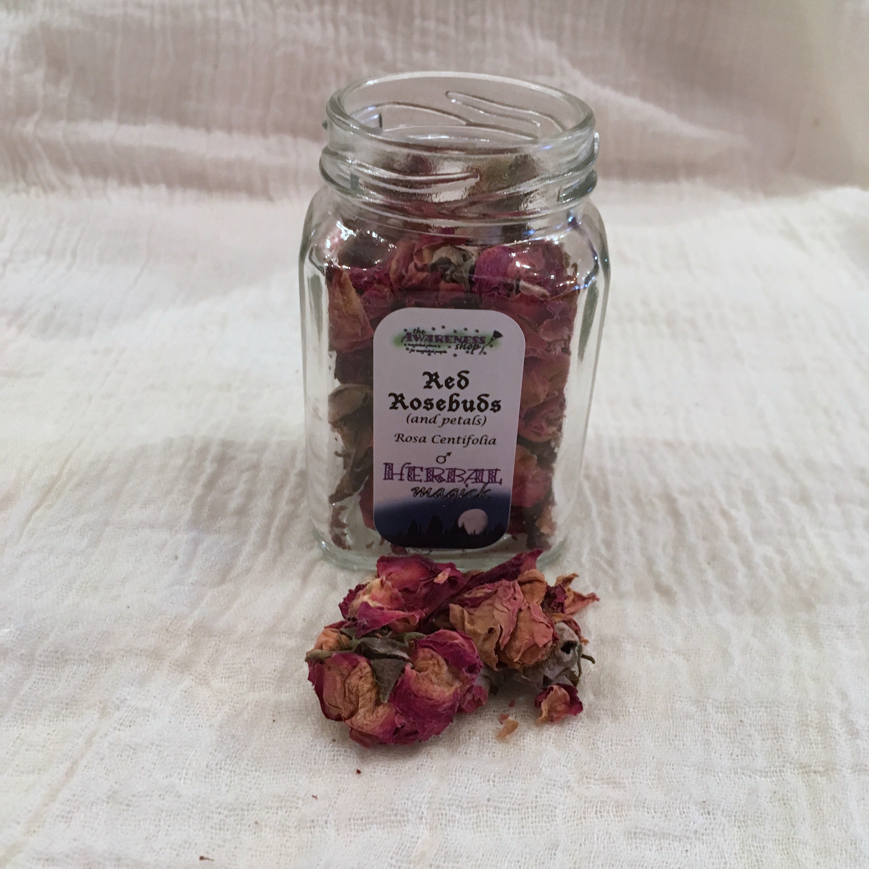 Red Rosebuds.jpg