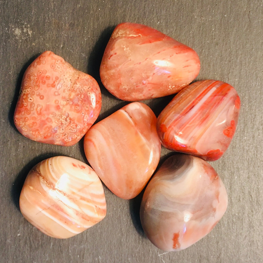 Sardonyx1.jpg