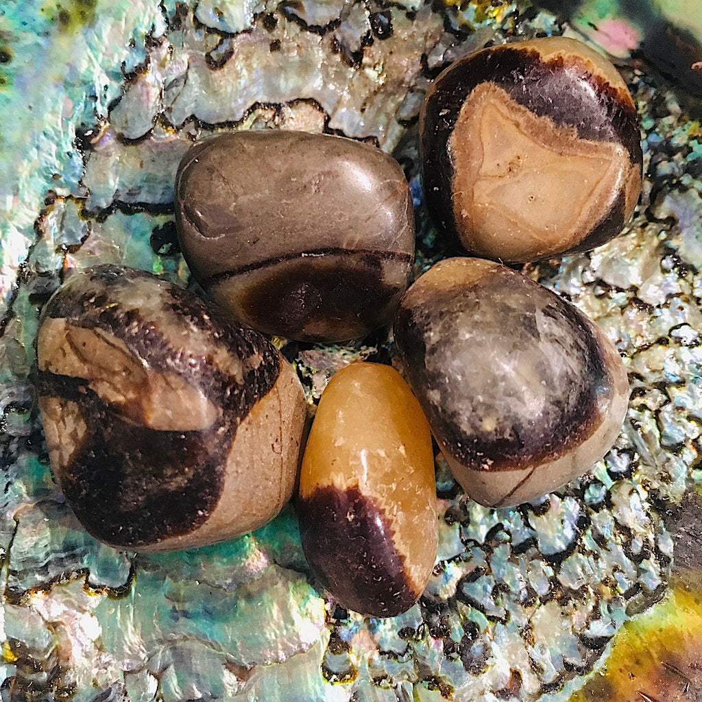 Septarian1.jpg