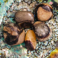 Septarian1.jpg