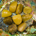 SerpentineTumbled1.jpg
