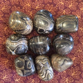 Stromatolite2.jpg_product_product
