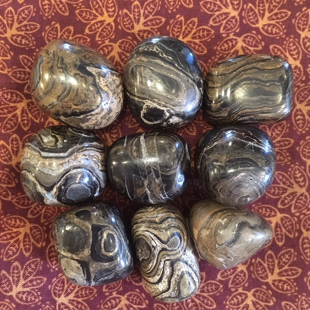 Stromatolite2.jpg_product_product