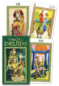 TarotofDruids.jpg