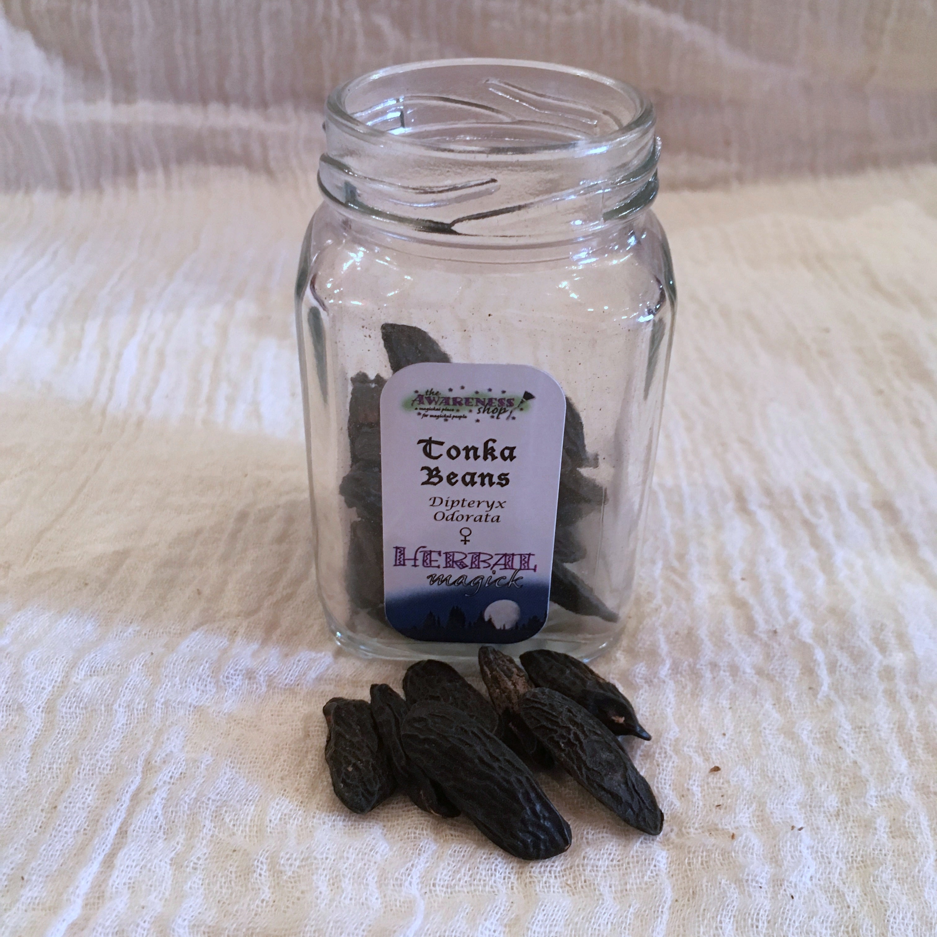 Tonka Beans.jpg