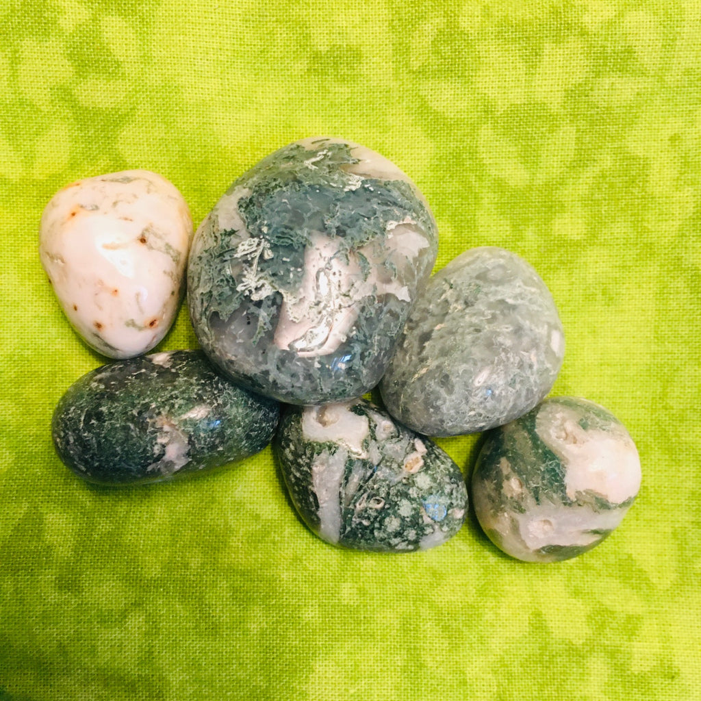 TreeAgate1.jpg_product