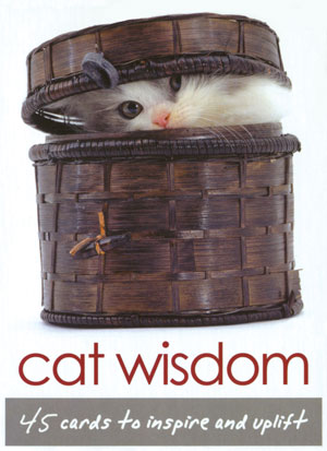 cat_wisdom_cards.jpg_product