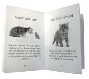 cat_wisdom_cards.jpg_product