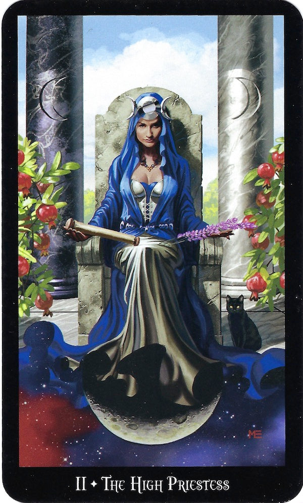 WitchesTarotDugan.jpg_product