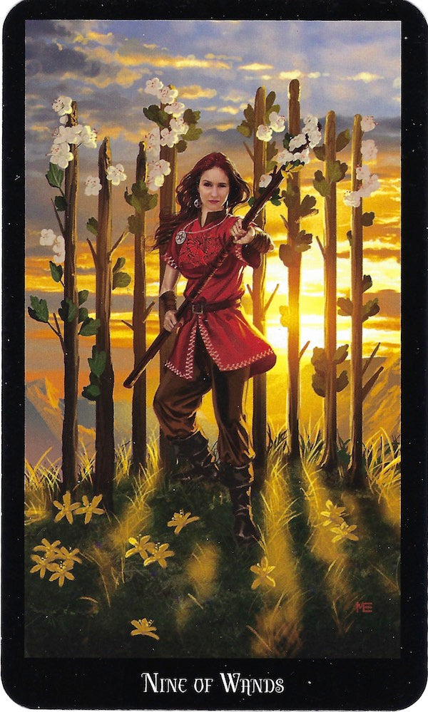 WitchesTarotDugan.jpg_product
