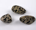 Agate__Dalmation_4e247834101cf.jpg