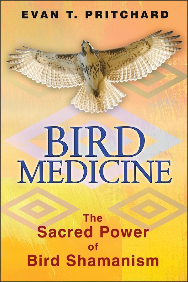 birdmedicine.jpg