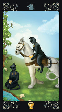 BlackCatsTarotDeck.jpg_product
