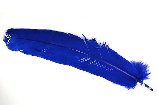 Blue_Feather_Qui_4e517b416b337.jpg