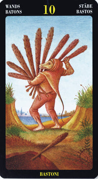 BoschTarot.jpg_product