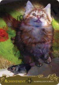 CatsInspirationalOracle.jpg_product