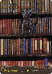 CatsInspirationalOracle.jpg_product