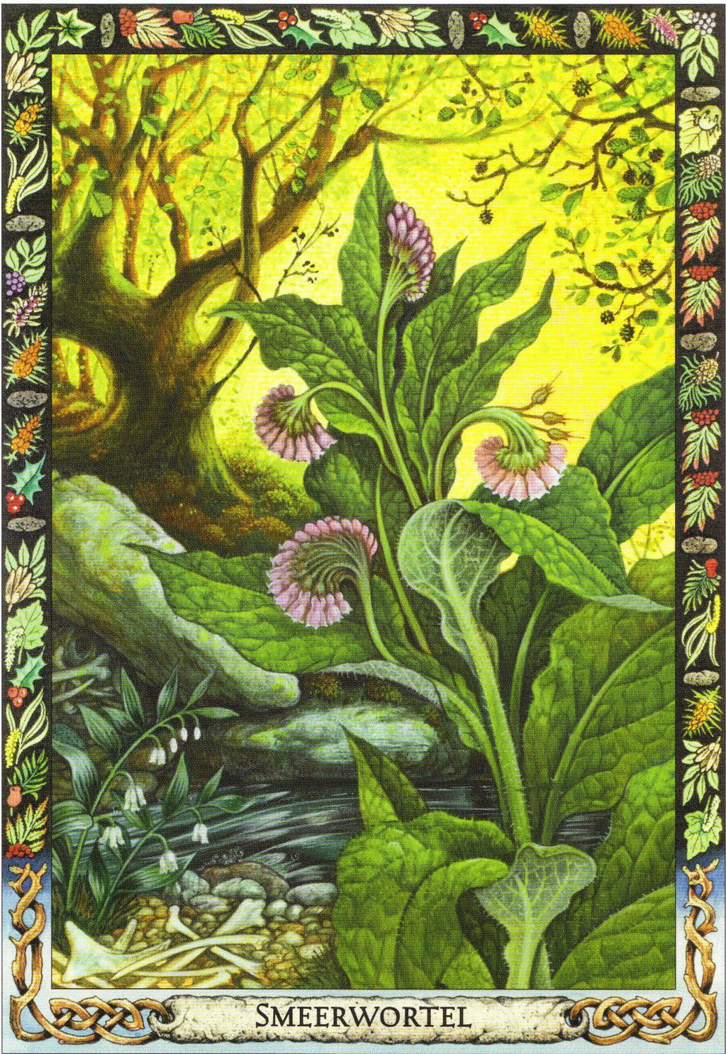 TheDruidPlantOracle.jpg_product