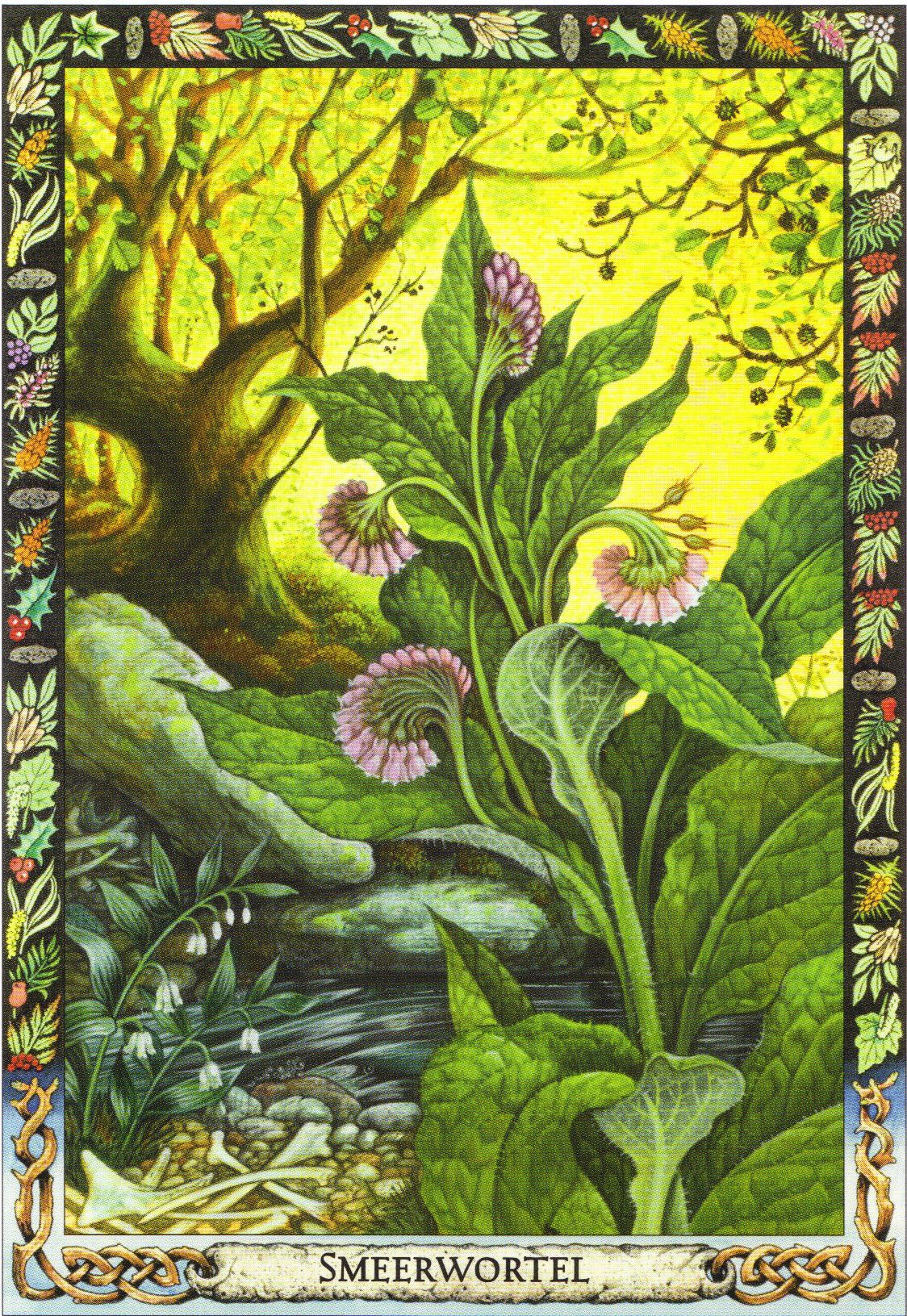 TheDruidPlantOracle.jpg_product