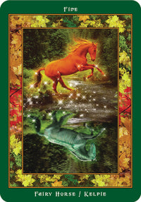 FairyRing.jpg_product