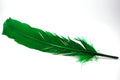 Feather_Quill____4e517bb06edff.jpg