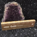 blackchampa.jpg_product_product
