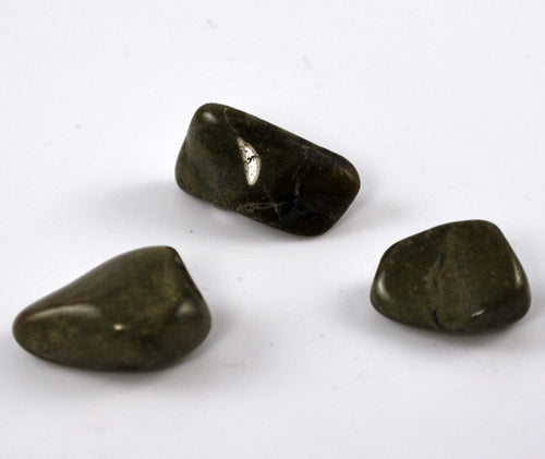 Jasper__Green_La_4e2f1ef875ebf.jpg
