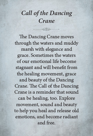 kuan_yin_oracle_pocket_edition.jpg_product