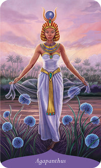 MagicOfFlowersOracle.jpg_product