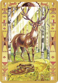 NativeAmericanOracleCards.jpg_product