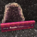 blackchampa.jpg_product_product_product_product_product