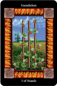 SacredCircleTarot.jpg_product