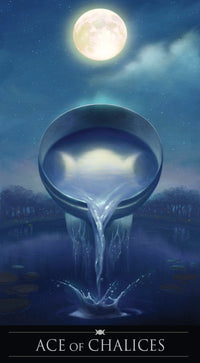SilverWitchcraftTarotDeck.jpg_product