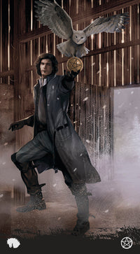 TarotoftheHauntedHouseDisplay.jpg_product