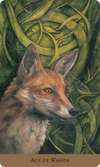 TarotoftheHiddenRealm.jpg_product