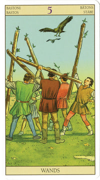 TarotoftheNewVisionDeck.jpg_product