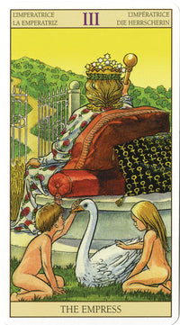 TarotoftheNewVisionDeck.jpg_product
