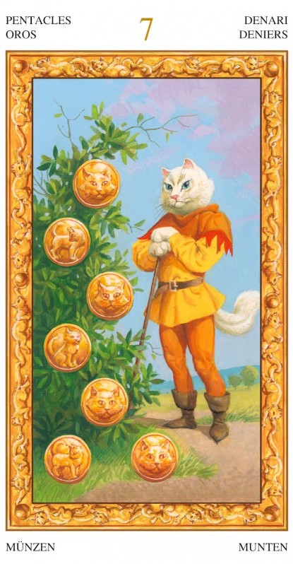 TarotofWhiteCats.jpg_product